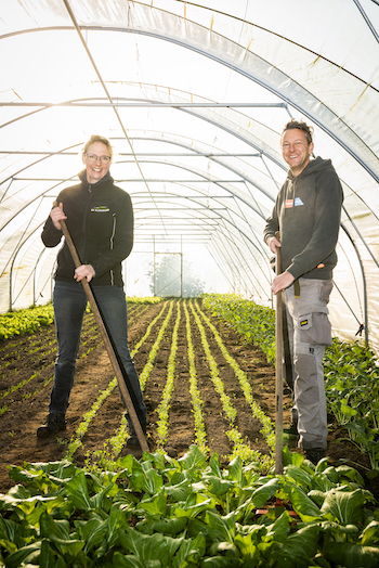 Tuinderij de Elzenkamp